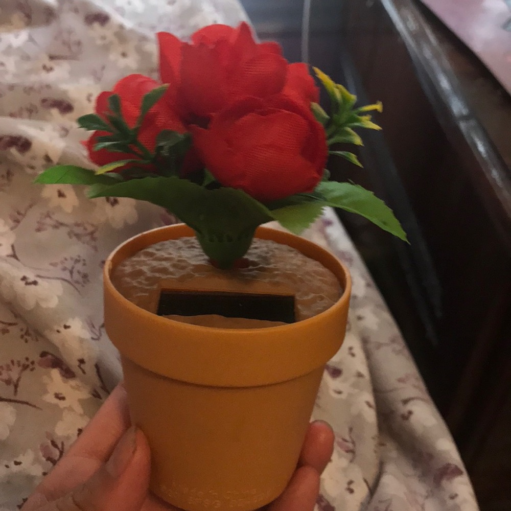 A rose small clock it can move